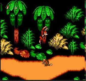   Donkey Kong Country 4 (Pirate) 